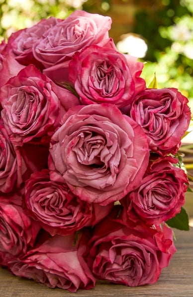 Lavender Roses Moody Blues