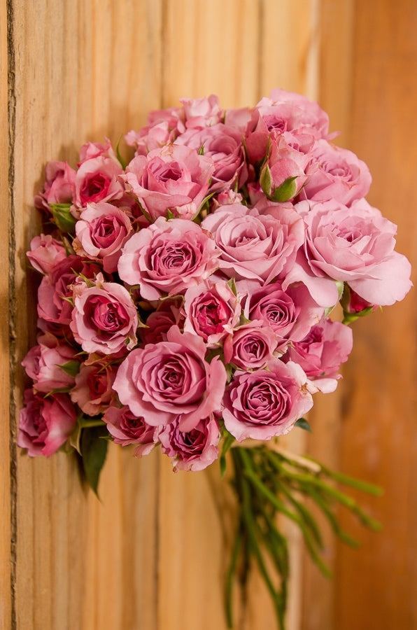 lavender spray roses