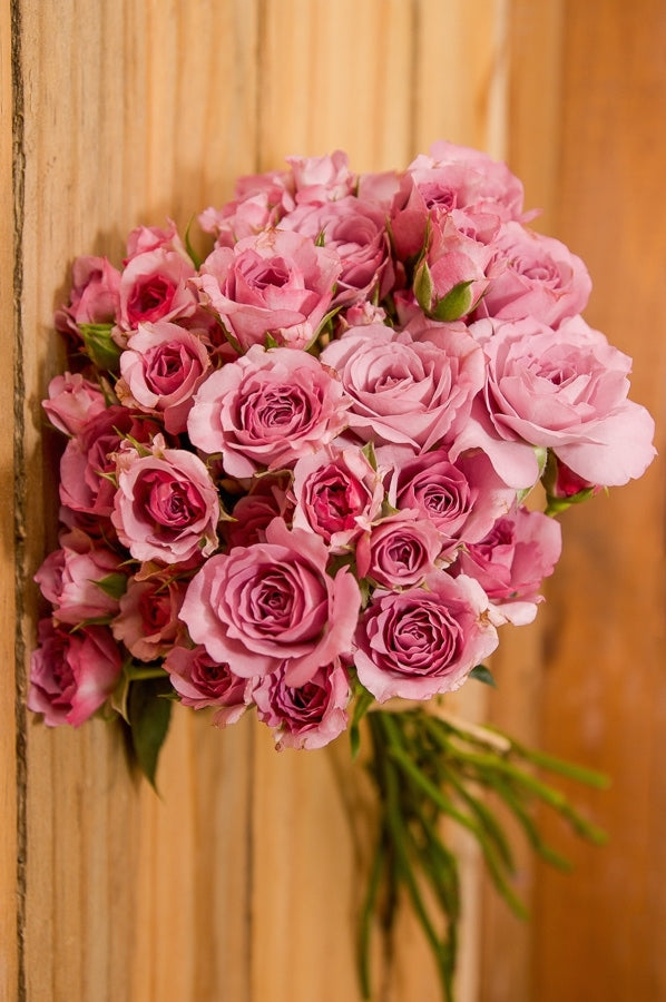 lavender spray roses