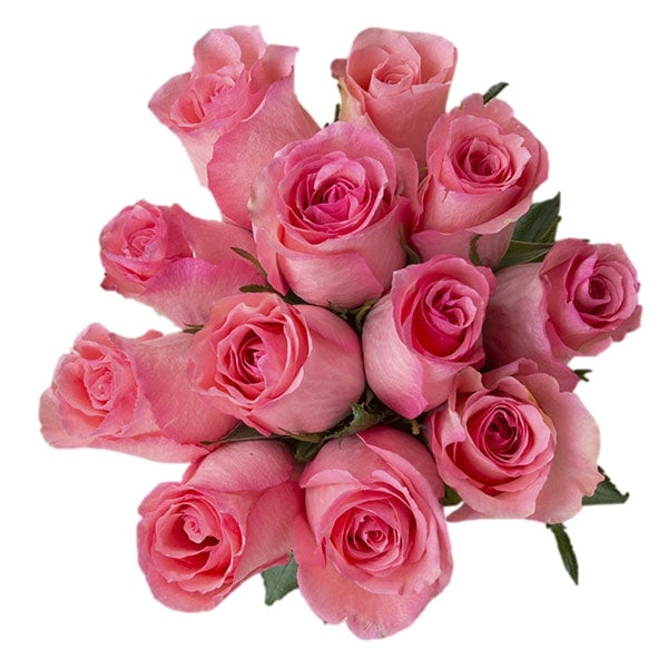 classic light pink vday roses