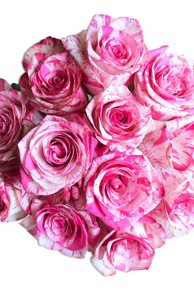 Magic TImes Bouquet