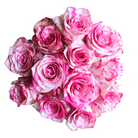 Magic TImes Bouquet