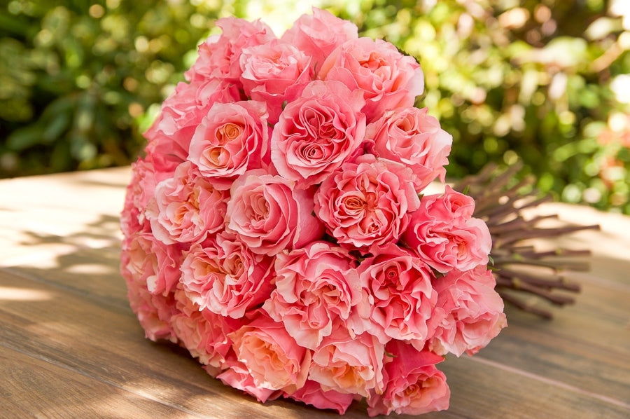 Mayra Peach Garden Roses