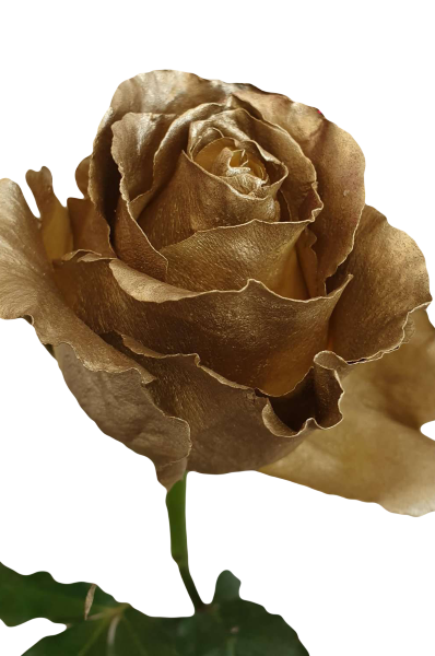 Metallic Gold Roses