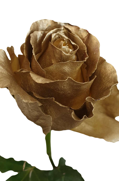 Metallic Gold Roses
