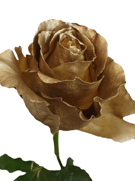 Metallic Gold Roses