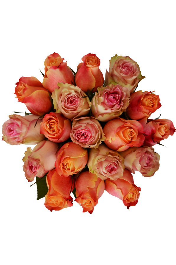 Peaches n' Cream Tri-Rose Bouquet