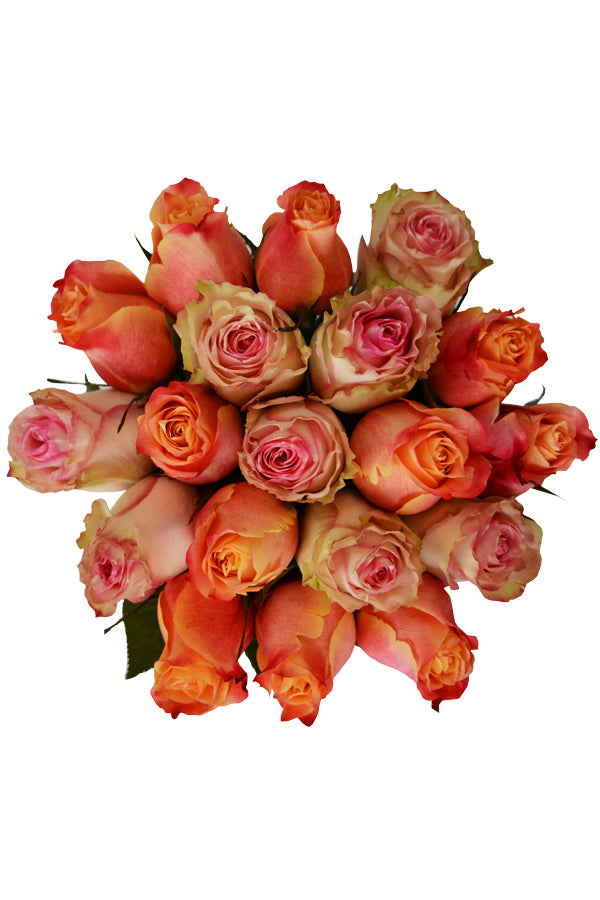 Peaches n' Cream Tri-Rose Bouquet
