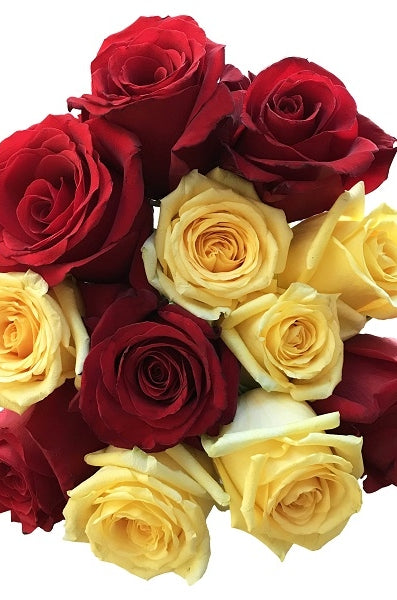Mixed Red and Yellow Roses