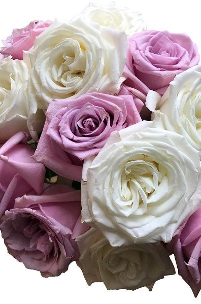 mixed white lavender roses