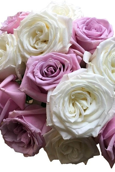 mixed white lavender roses