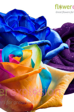 Mixed Rainbow