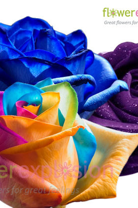 Mixed Rainbow