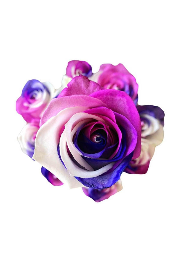 mom rose