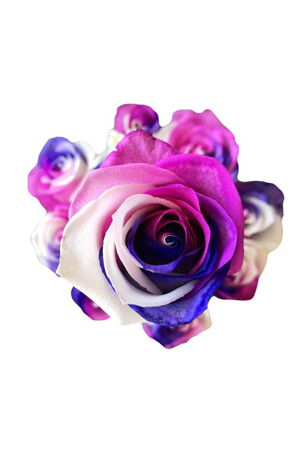 mom rose