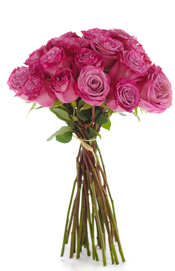 Moody Blues Lavender Rose