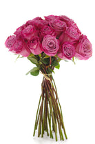 Moody Blues Lavender Rose