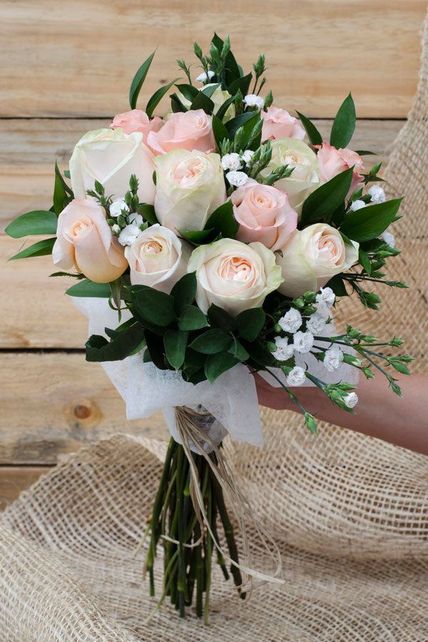 Morning Bride