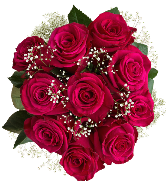 Hot Pink Roses Babys Breath Bouquet