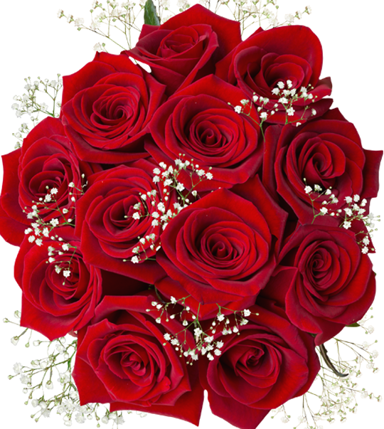 mothers day red roses and gypso