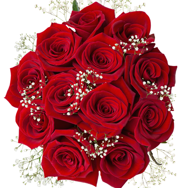 mothers day red roses and gypso