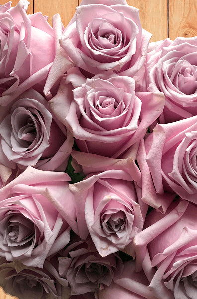 Nautica Roses