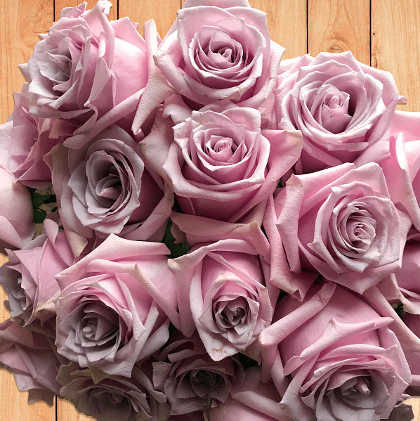 Nautica Roses