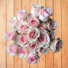 Novia Light Pink Rose