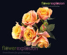 Orange & Peach Spray Roses