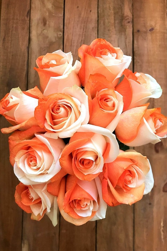orange and white tinted roses