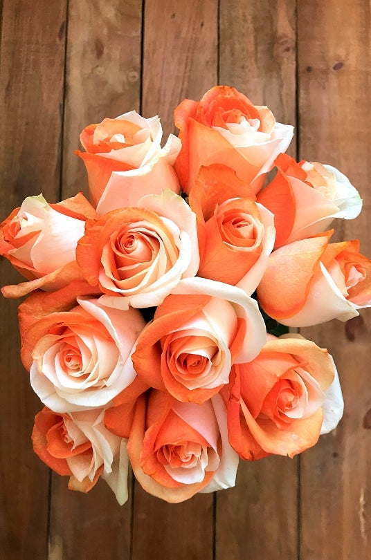 orange and white tinted roses