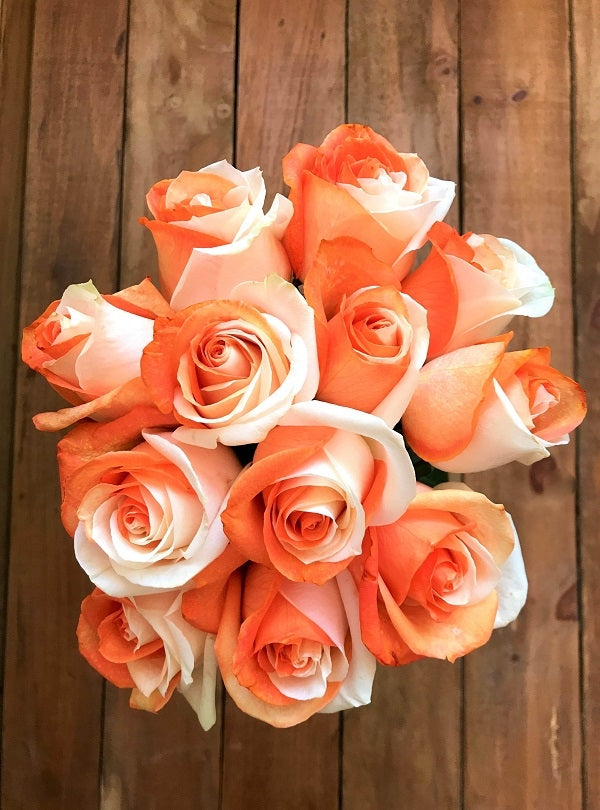 orange and white tinted roses