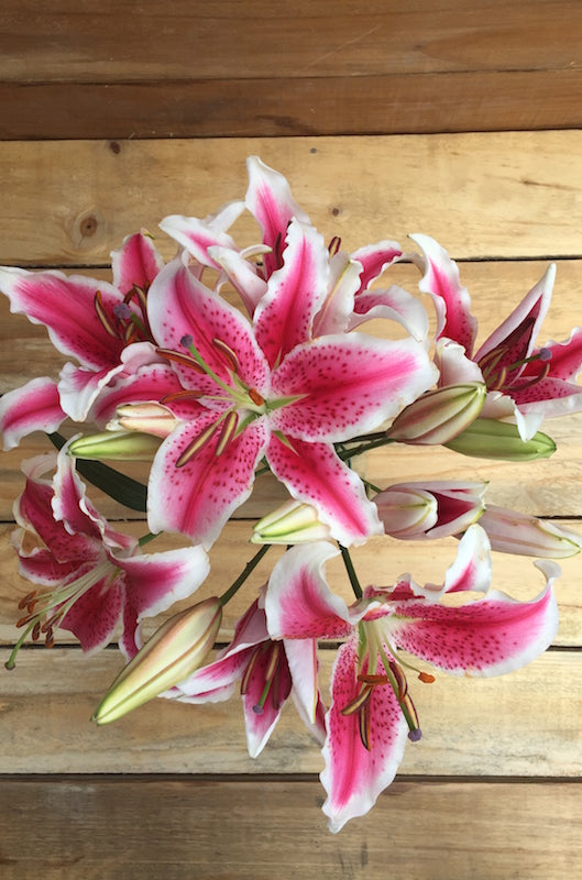 Superstar - Oriental Lilies Flower Bouquet