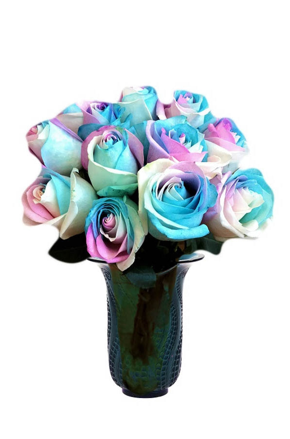 pastel tinted roses