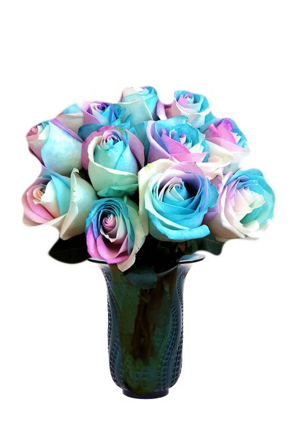 pastel tinted roses