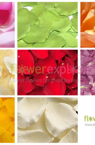 Rose Petals