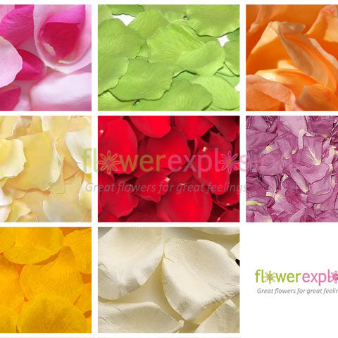 Rose Petals