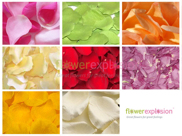 Rose Petals