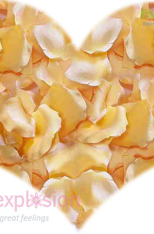 Cream Rose Petals