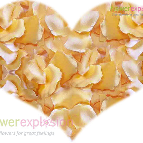 Cream Rose Petals