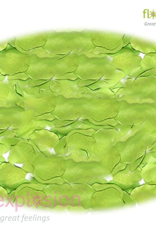 Green Rose Petals
