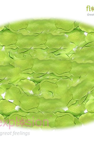 Green Rose Petals