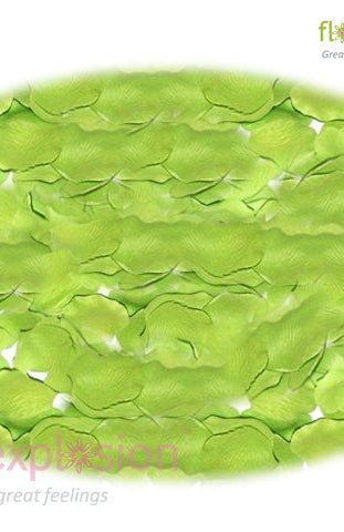 Green Rose Petals
