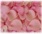 Light Pink Rose Petals