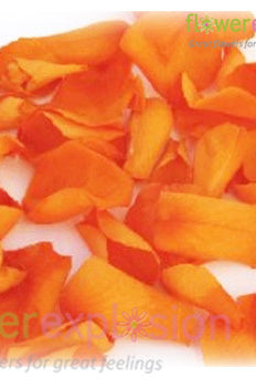 Orange Rose Petals