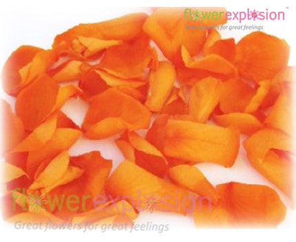 Orange Rose Petals