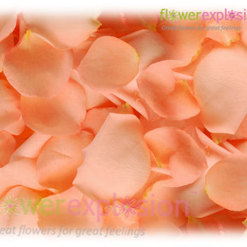 Peach Rose Petals