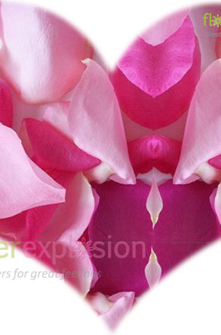 Pink Petals