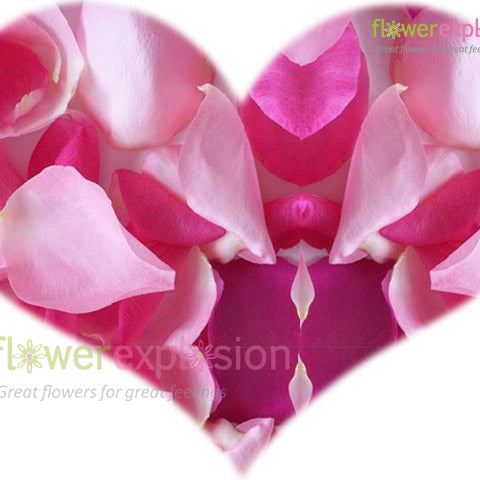 Pink Petals