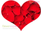 Red Petals